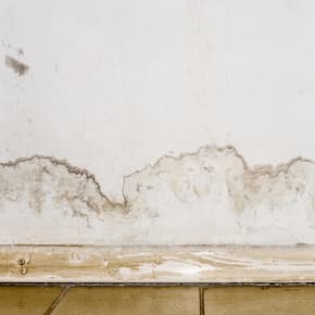 Water-damaged wall with visible mold and peeling paint near the baseboard